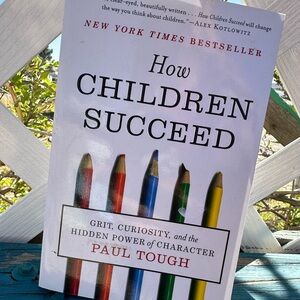 How Children Succeed - Multicolor (Kids Toys)